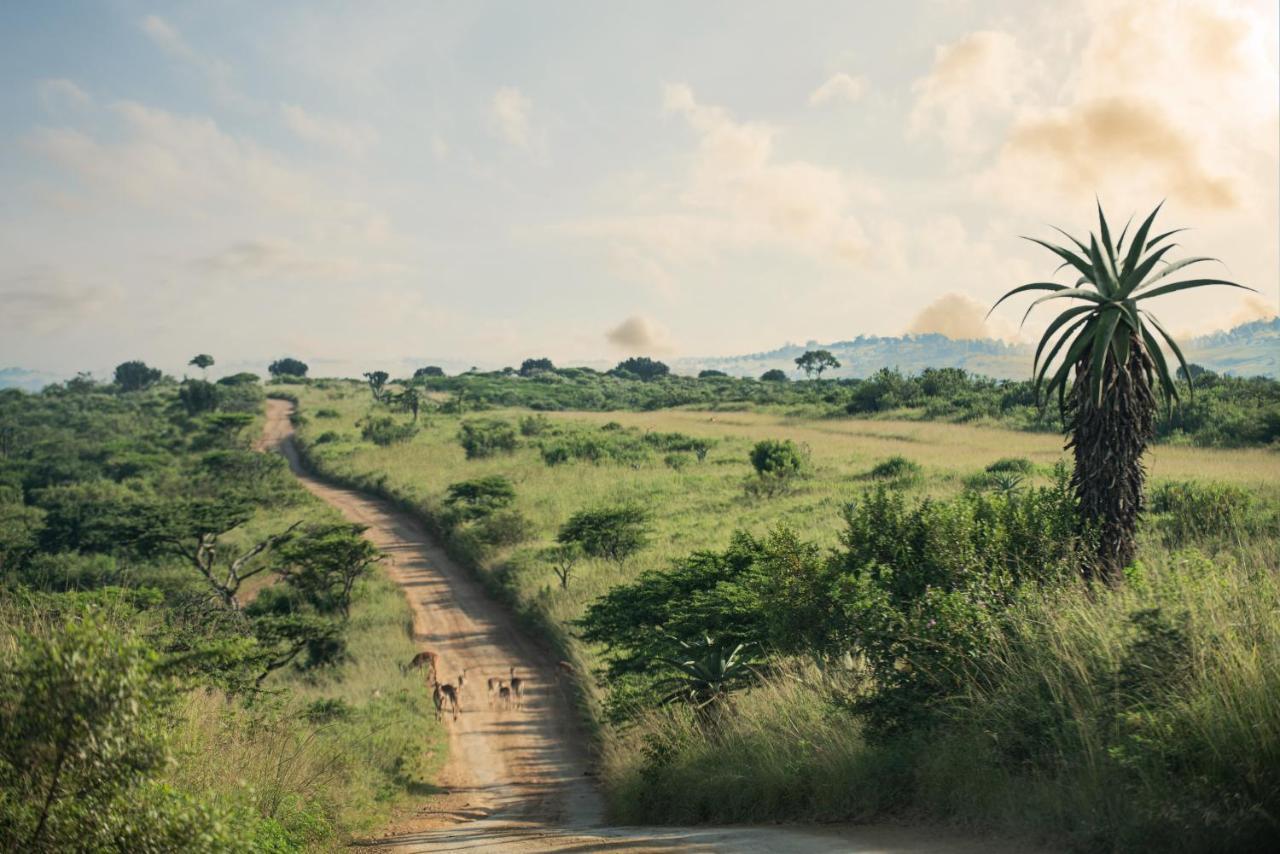 Tala Collection Game Reserve Silverton Bagian luar foto